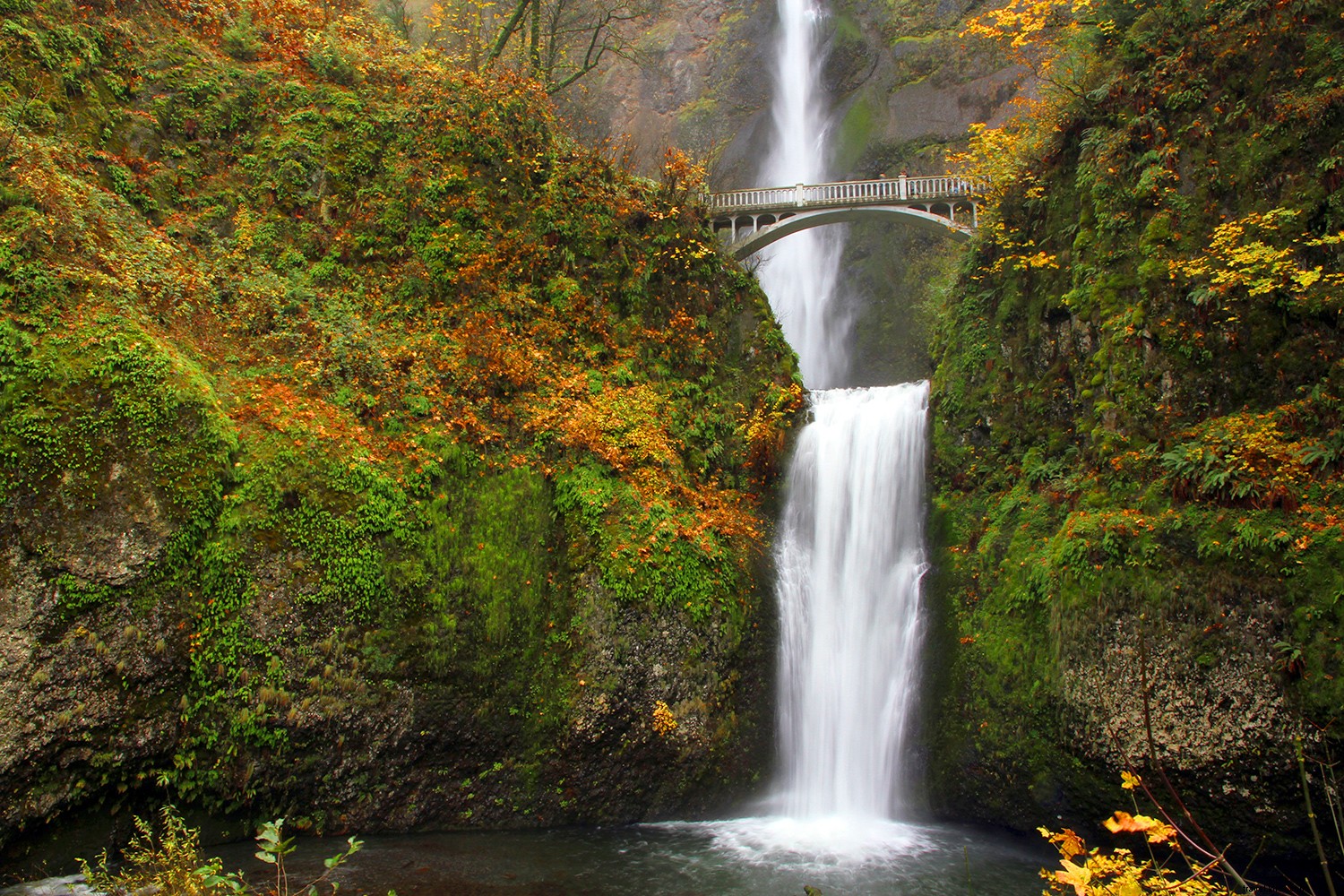 Los mejores lugares para ver el follaje de otoño en el noroeste del Pacífico 